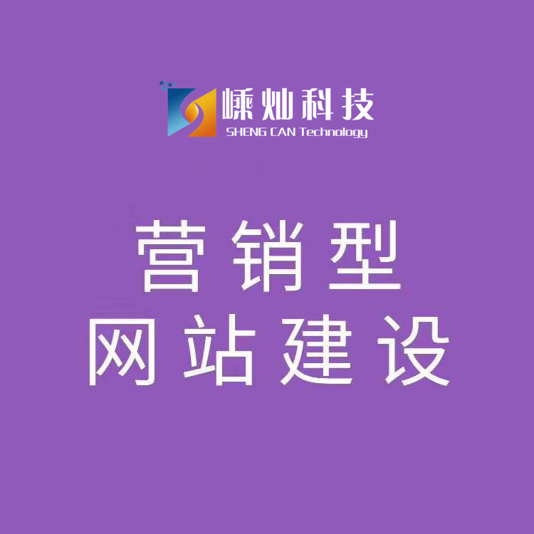 新泰专业电商网站建设效果