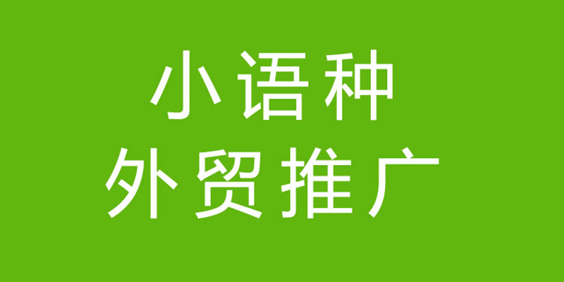 定安县国际网络推广