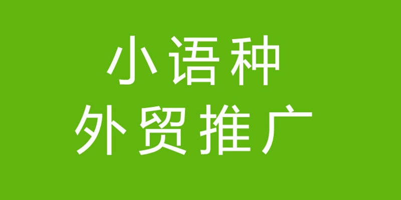 遂宁国际网络推广